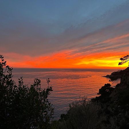 ⭑ Sea Views + Private Beach. What Else? ⭑ トッサ・デ・マール エクステリア 写真